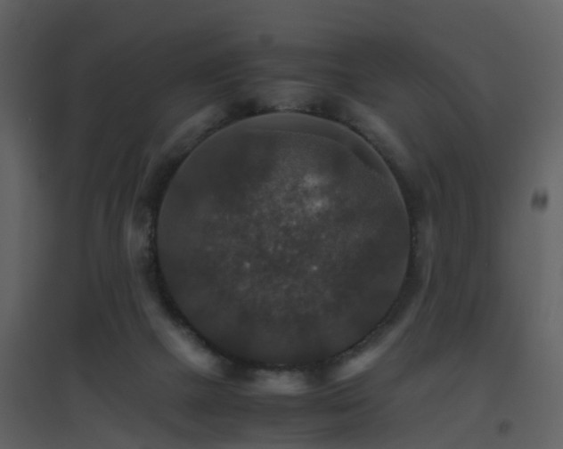 X0000096700073200802121212