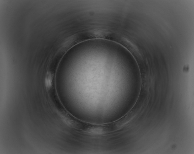 X0000096700075200802121212
