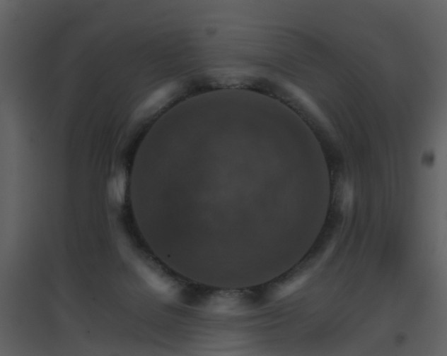 X0000096700076200802121212