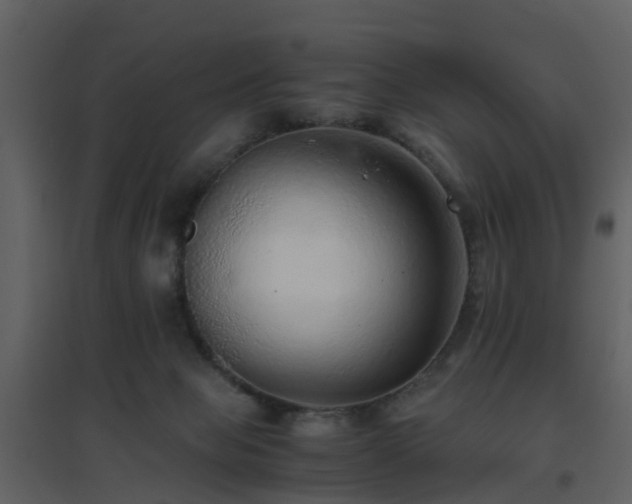 X0000096700077200802121212