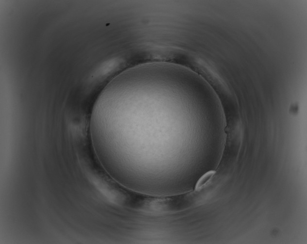 X0000096700078200802121212