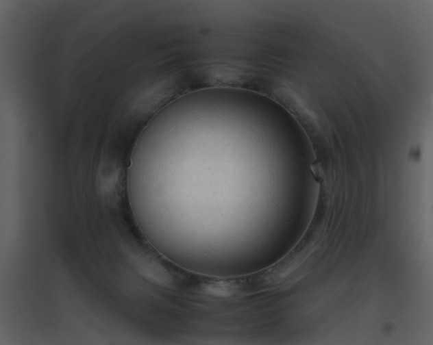 X0000096700079200802121212