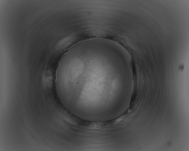 X0000096700080200802121212