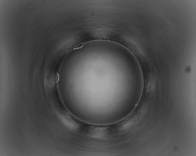 X0000096700081200802121212