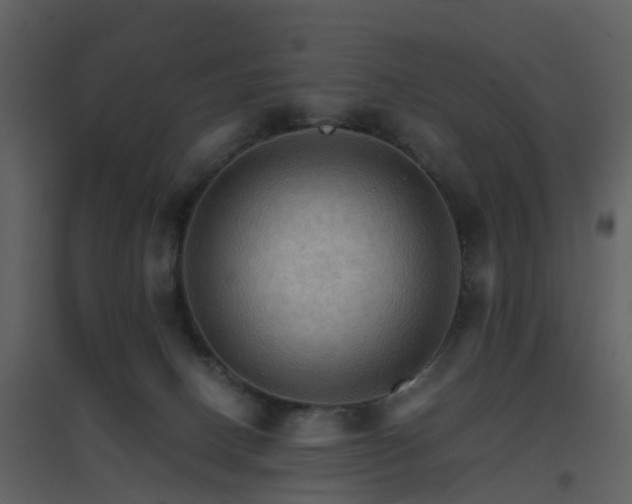 X0000096700082200802121212