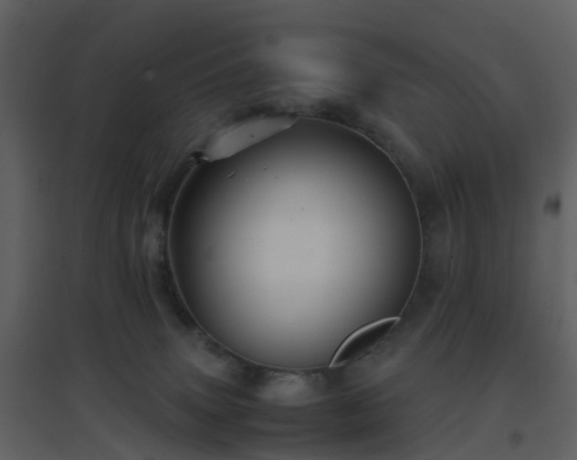 X0000096700083200802121212