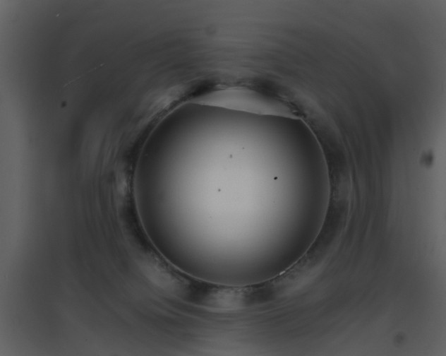 X0000096700084200802121212