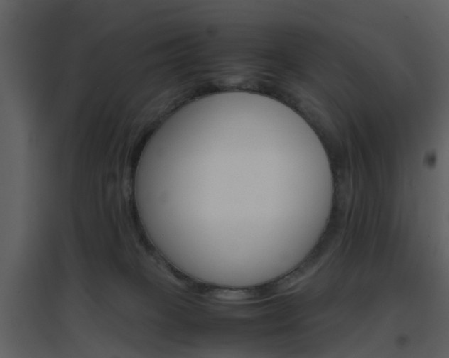 X0000096700085200802121212
