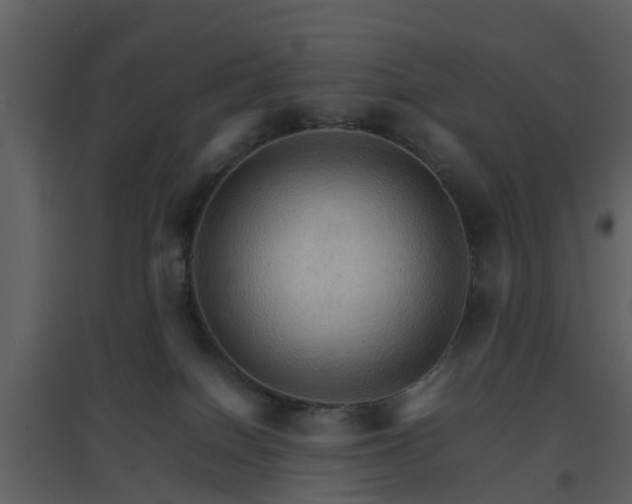 X0000096700086200802121212