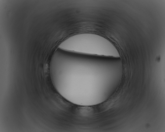 X0000096700087200802121212