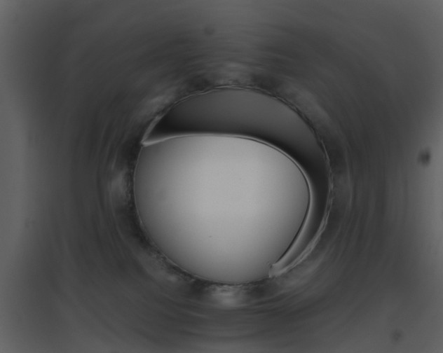 X0000096700088200802121212