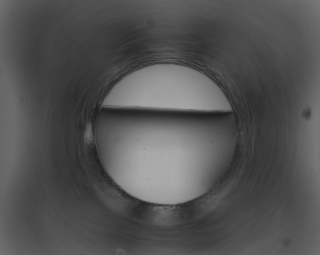 X0000096700089200802121212