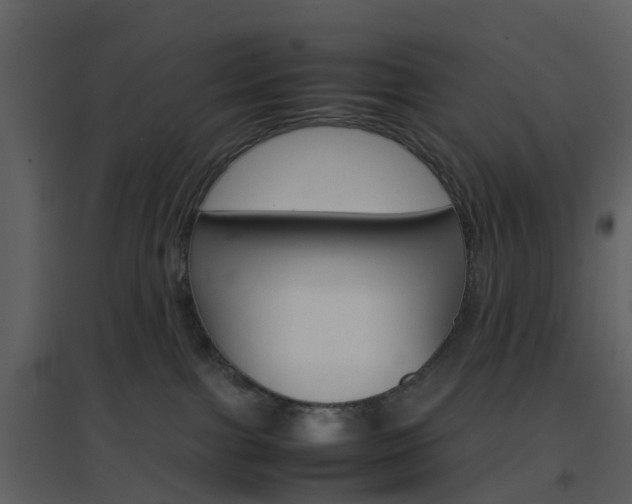 X0000096700091200802121212