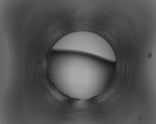 X0000096700092200802121212