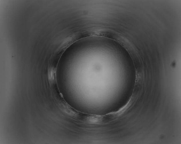 X0000096700094200802121212