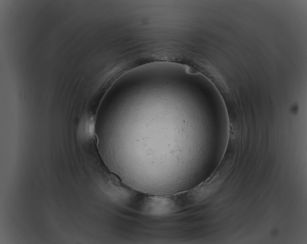 X0000096700095200802121212