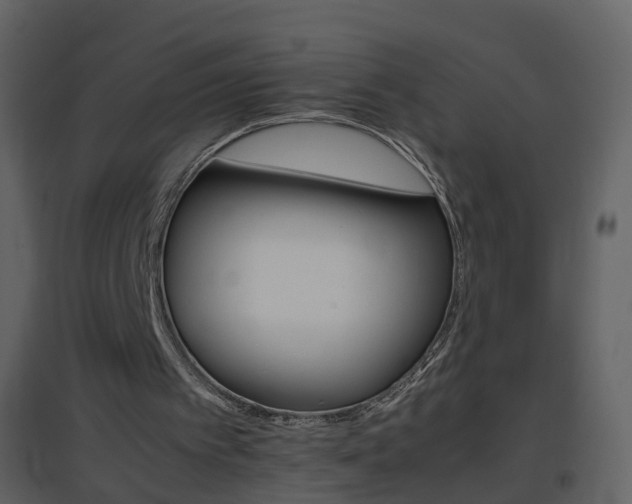 X0000096700097200802121211