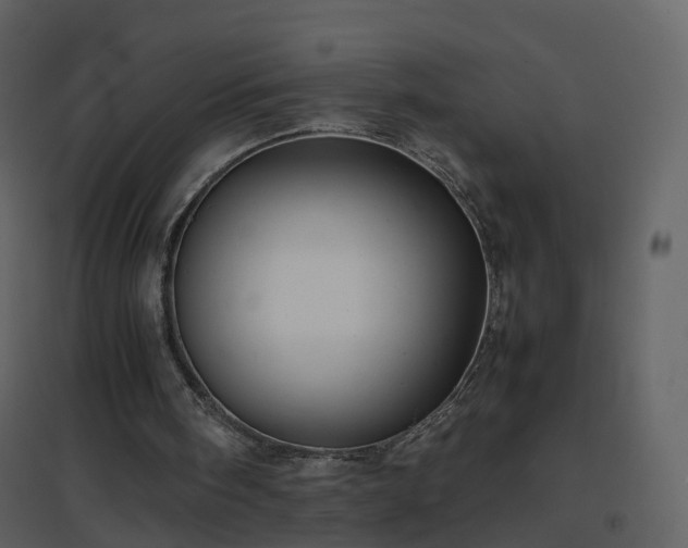 X0000096700098200802121211