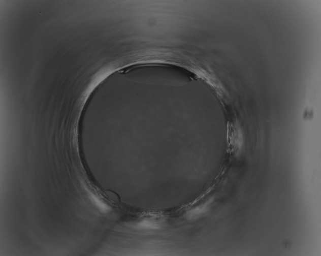 X0000096700099200802121211