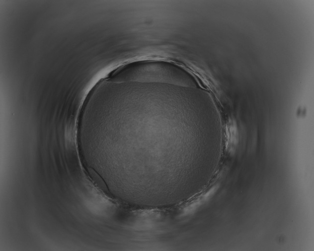X0000096700100200802121211