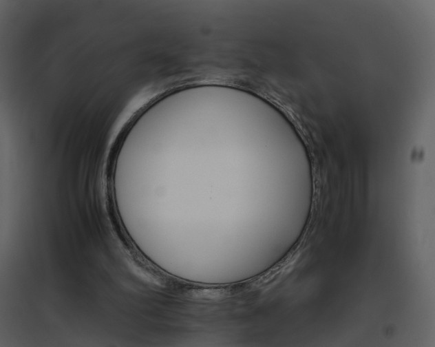 X0000096700102200802121211