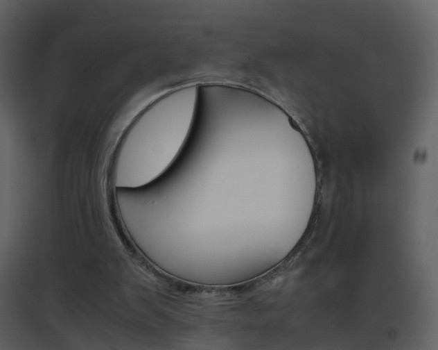 X0000096700103200802121211