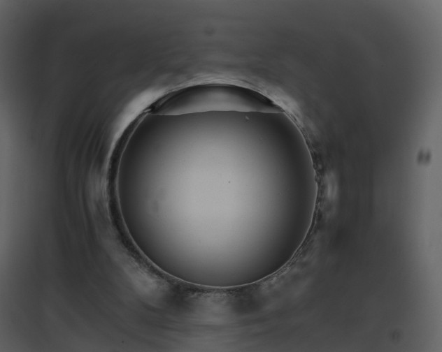 X0000096700104200802121211