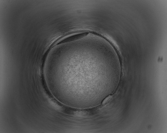 X0000096700105200802121211