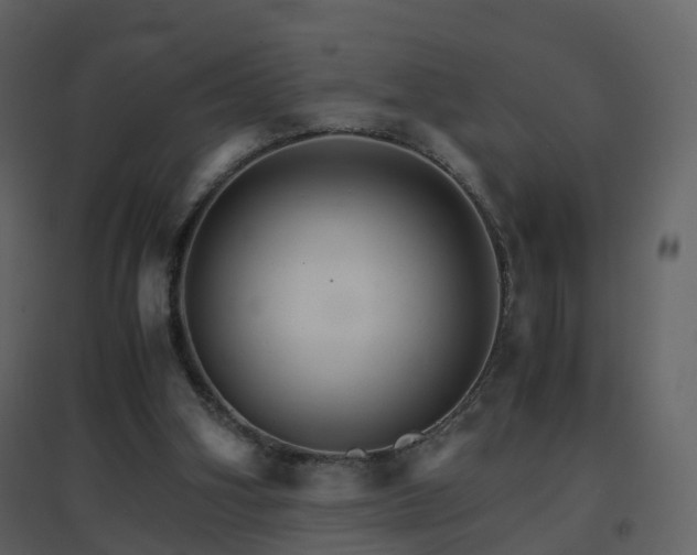 X0000096700106200802121211