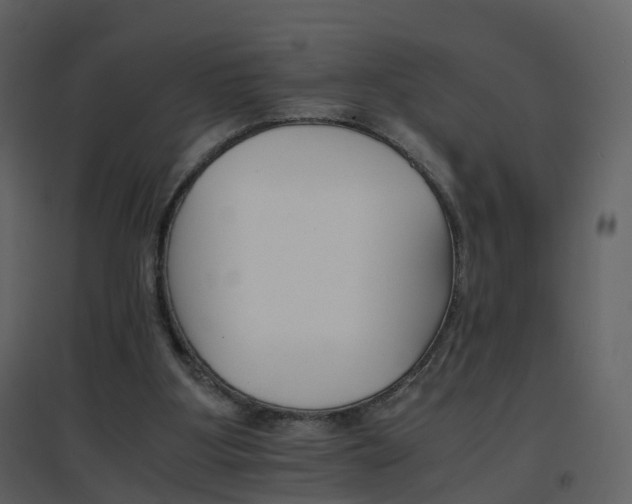 X0000096700107200802121211