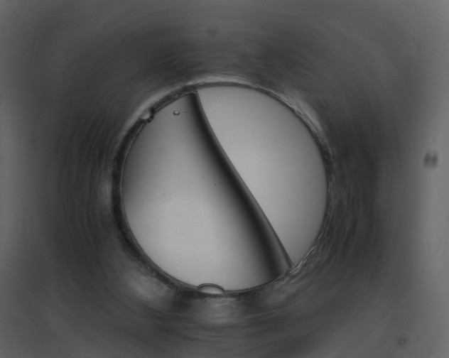 X0000096700108200802121211