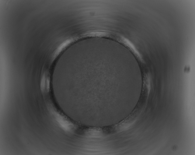 X0000096700110200802121211