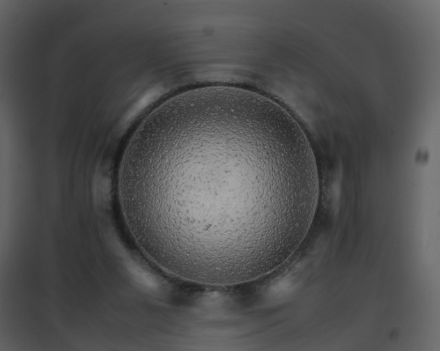 X0000096700111200802121211