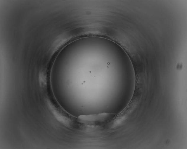 X0000096700112200802121211