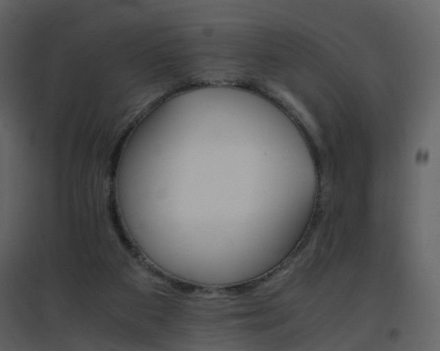 X0000096700113200802121211