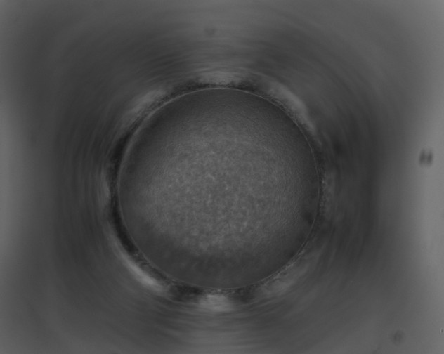 X0000096700114200802121211