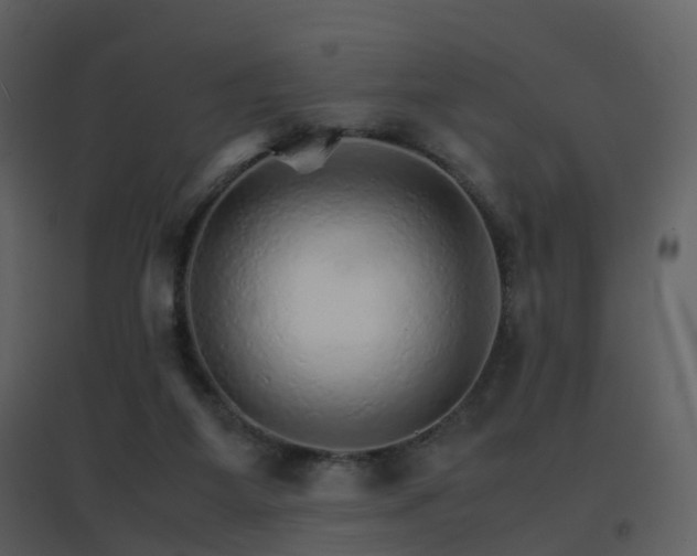 X0000096700115200802121211