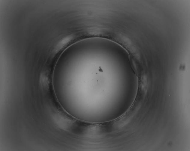 X0000096700116200802121211