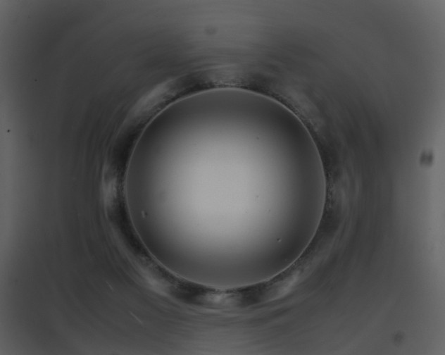 X0000096700117200802121211