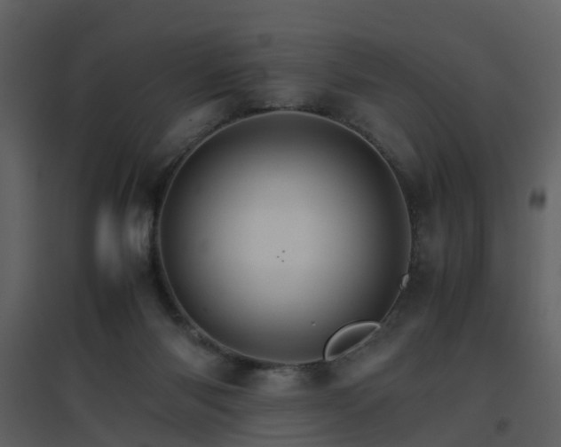 X0000096700118200802121211