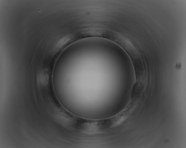 X0000096700120200802121211