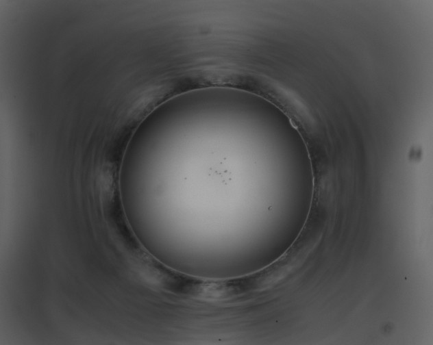 X0000096700121200802121211