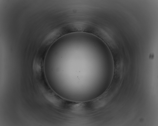 X0000096700122200802121211
