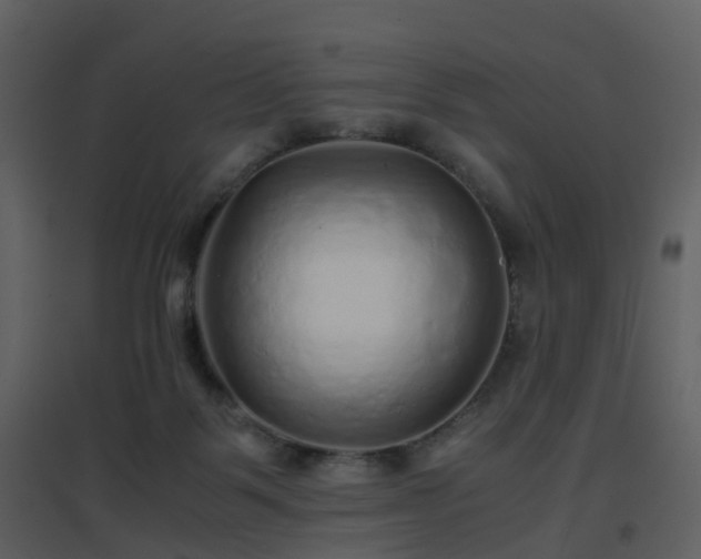 X0000096700123200802121211