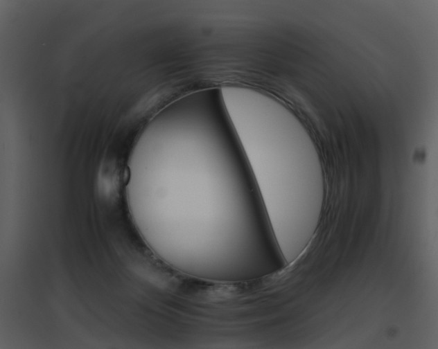 X0000096700124200802121211