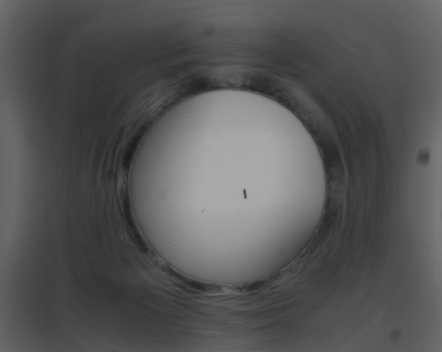 X0000096700125200802121211