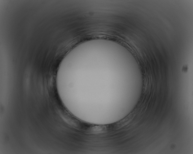 X0000096700126200802121211