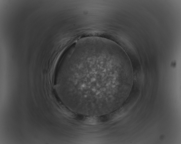 X0000096700127200802121211
