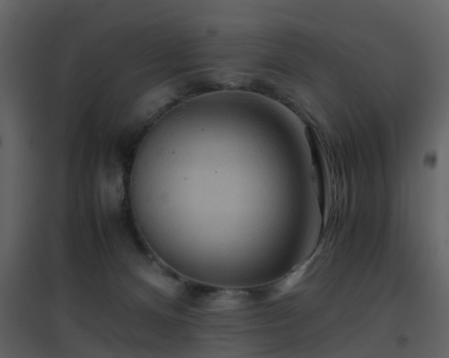 X0000096700128200802121211
