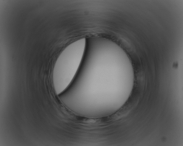 X0000096700129200802121211